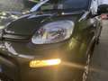 Fiat Panda 3ª serie 1.3 MJT S&S 4x4 Verde - thumbnail 5