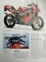 Cagiva Mito EV 125 Seven Speed - thumbnail 7