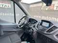 Ford Transit 350 L2 H2 Trend Weiß - thumbnail 15