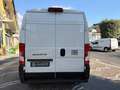 Fiat Ducato 2.2 D 140 CV L2H2 35Q MY25 KM0 UFFICIALE Bianco - thumbnail 5