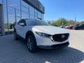 Mazda CX-30 2.5 (140PS) Autom. Exclusive 360* CarPlay Weiß - thumbnail 8