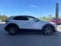 Mazda CX-30 2.5 (140PS) Autom. Exclusive 360* CarPlay Weiß - thumbnail 7