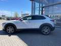 Mazda CX-30 2.5 (140PS) Autom. Exclusive 360* CarPlay Weiß - thumbnail 3