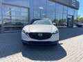 Mazda CX-30 2.5 (140PS) Autom. Exclusive 360* CarPlay Weiß - thumbnail 9