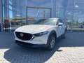 Mazda CX-30 2.5 (140PS) Autom. Exclusive 360* CarPlay Weiß - thumbnail 2