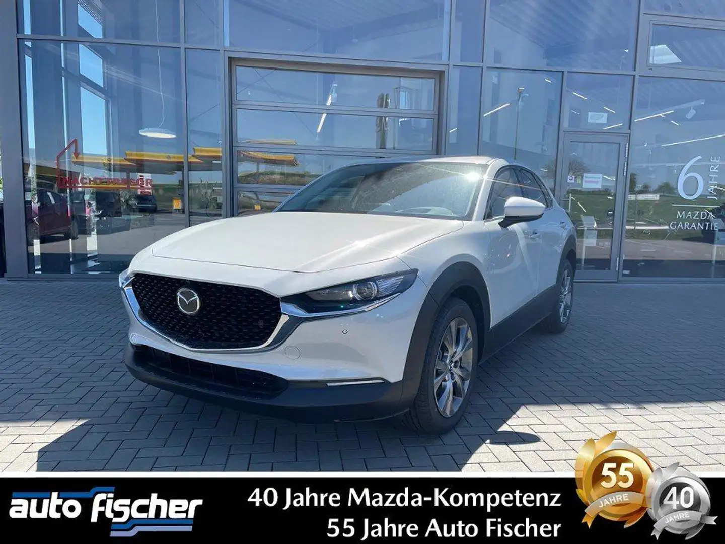 Mazda CX-30 2.5 (140PS) Autom. Exclusive 360* CarPlay Weiß - 1