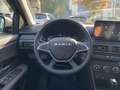 Dacia Jogger EXTREME HYBRID 140 Extreme ---7 Jahre Garantie--- Grün - thumbnail 15