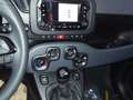 Fiat Panda 1.0 firefly hybrid s&s 70cv Bleu - thumbnail 4