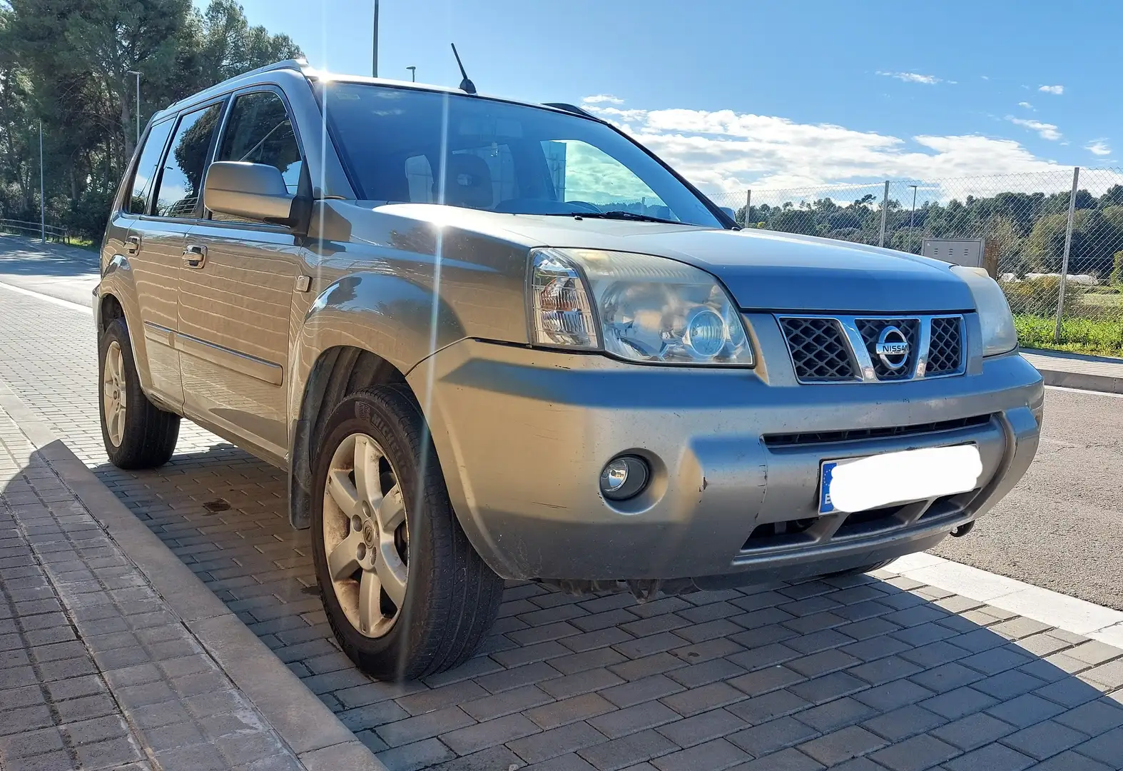 Nissan X-Trail X-Trail Columbia 2.2dCi Titanium itanium Argento - 1
