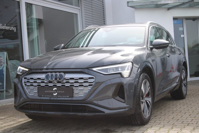 Audi Q8 e-tron 50 quattro advanced Navi Matrix Kamera ACC 20 Zoll — photo 2