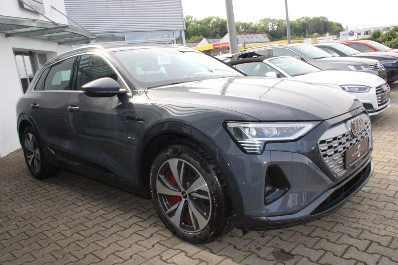 Audi Q8 e-tron 50 quattro advanced Navi Matrix Kamera ACC 20 Zoll — photo 7