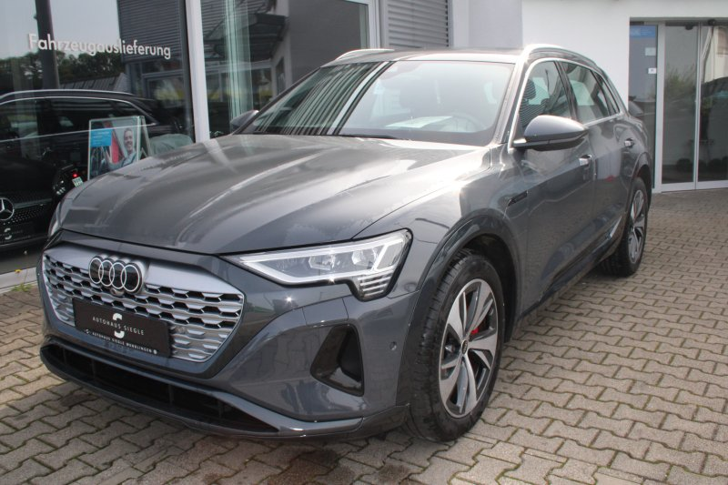 Audi Q8 e-tron 50 quattro advanced Navi Matrix Kamera ACC 20 Zoll — photo 9