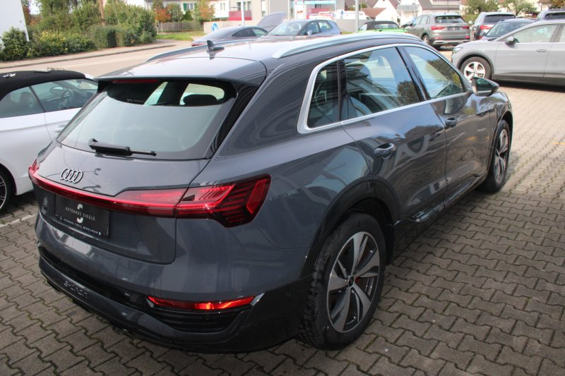 Audi Q8 e-tron 50 quattro advanced Navi Matrix Kamera ACC 20 Zoll — photo 6