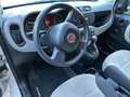 Fiat Panda Panda 0.9 t.air t. natural power 80cv NEOPATENTATI Bianco - thumbnail 5
