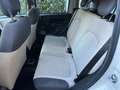 Fiat Panda Panda 0.9 t.air t. natural power 80cv NEOPATENTATI Bianco - thumbnail 7
