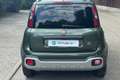Fiat Panda Panda 1.2 City Cross Verde - thumbnail 6