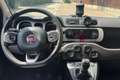 Fiat Panda Panda 1.2 City Cross Verde - thumbnail 14