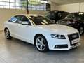 Audi A4 2.0TDI 140cv *DISTRIB.ESEGUITA* Bianco - thumbnail 3