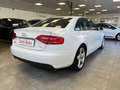 Audi A4 2.0TDI 140cv *DISTRIB.ESEGUITA* Bianco - thumbnail 4