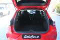 Ford Puma Puma 1.5 ecoblue Connect s Rosso - thumbnail 16
