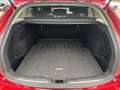 Mazda 6 2023 5WGN 2.0L SKYACTIV G 165ps 6MT FWD CENTER-LIN Rosso - thumbnail 3