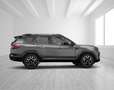 Dacia Bigster Extreme Hybrid 155*LED*NAVI*SHZ*360*PANO Grijs - thumbnail 13