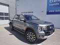 Ford Ranger Ranger Doppelkabine Platinum e-4WD 3,0 EcoBlue ... Grau - thumbnail 1