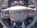 Ford Ranger Ranger Doppelkabine Platinum e-4WD 3,0 EcoBlue ... Grau - thumbnail 14