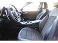 Alfa Romeo Giulia 2.2 D 136 Super BVA Gris - thumbnail 14