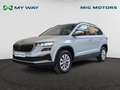 Skoda Karoq Clever Argent - thumbnail 1