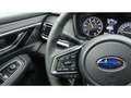 Subaru OUTBACK Edition Platin Cross 2.5i Navi Leder Parkpilot Sch Modrá - thumbnail 16
