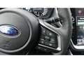 Subaru OUTBACK Edition Platin Cross 2.5i Navi Leder Parkpilot Sch Blau - thumbnail 17
