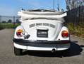 Volkswagen Kever cabriolet Alb - thumbnail 4