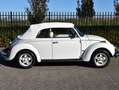 Volkswagen Kever cabriolet Alb - thumbnail 10