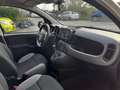 Fiat Panda 1.0 firefly hybrid City Life PERFETTA NEOPATENTATI Wit - thumbnail 12
