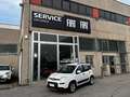Fiat Panda 1.0 firefly hybrid City Life PERFETTA NEOPATENTATI Wit - thumbnail 4
