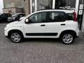 Fiat Panda 1.0 firefly hybrid City Life PERFETTA NEOPATENTATI Wit - thumbnail 5
