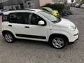 Fiat Panda 1.0 firefly hybrid City Life PERFETTA NEOPATENTATI Wit - thumbnail 3