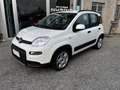 Fiat Panda 1.0 firefly hybrid City Life PERFETTA NEOPATENTATI Wit - thumbnail 1