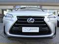 Lexus NX 300h Hybrid 4WD Luxury Grigio - thumbnail 8