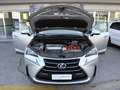 Lexus NX 300h Hybrid 4WD Luxury Grigio - thumbnail 15