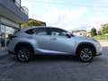 Lexus NX 300h Hybrid 4WD Luxury Grigio - thumbnail 6