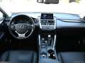 Lexus NX 300h Hybrid 4WD Luxury Grigio - thumbnail 11