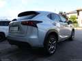 Lexus NX 300h Hybrid 4WD Luxury Grigio - thumbnail 5