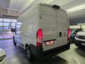 Fiat Ducato 30 2.2 mjet140cv L2H2 retrocamera autocarro n1 van Bianco - thumbnail 3