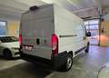 Fiat Ducato 30 2.2 mjet140cv L2H2 retrocamera autocarro n1 van Blanc - thumbnail 17