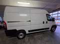 Fiat Ducato 30 2.2 mjet140cv L2H2 retrocamera autocarro n1 van Blanc - thumbnail 19