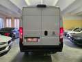 Fiat Ducato 30 2.2 mjet140cv L2H2 retrocamera autocarro n1 van Blanc - thumbnail 16
