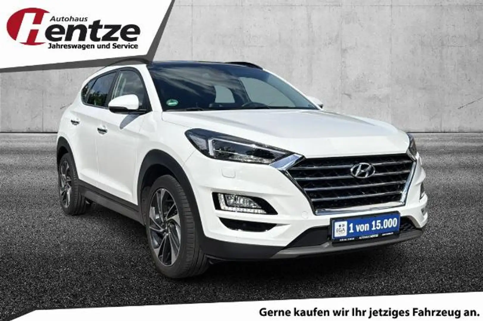 Hyundai TUCSON 1.6 Premium 4WD,PANO,AHK,LEDER Blanc - 1