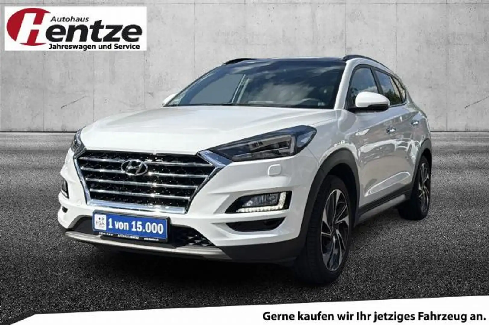Hyundai TUCSON 1.6 Premium 4WD,PANO,AHK,LEDER Blanc - 2
